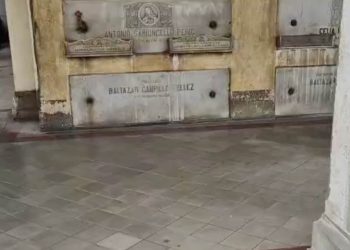 Baltazar Campillo Ibáñez